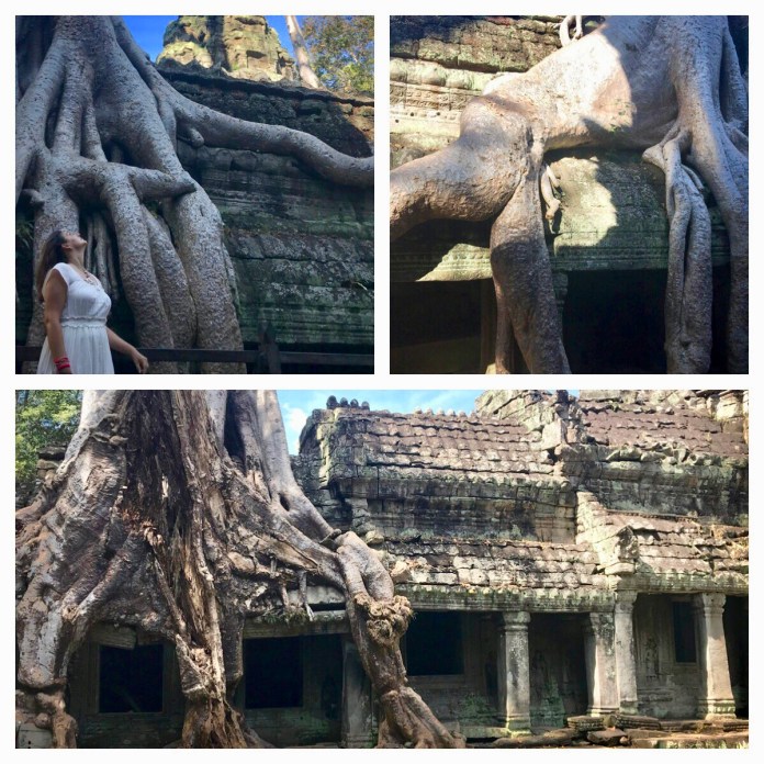 Processed with MOLDIV