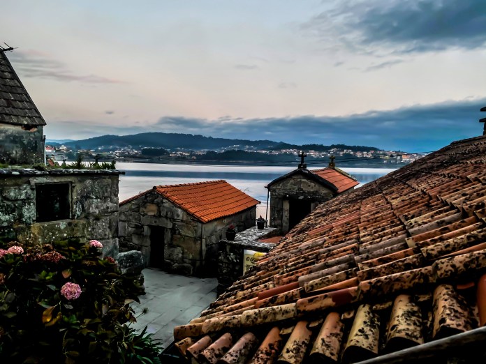 SIN VINO NO HAY CAMINO!