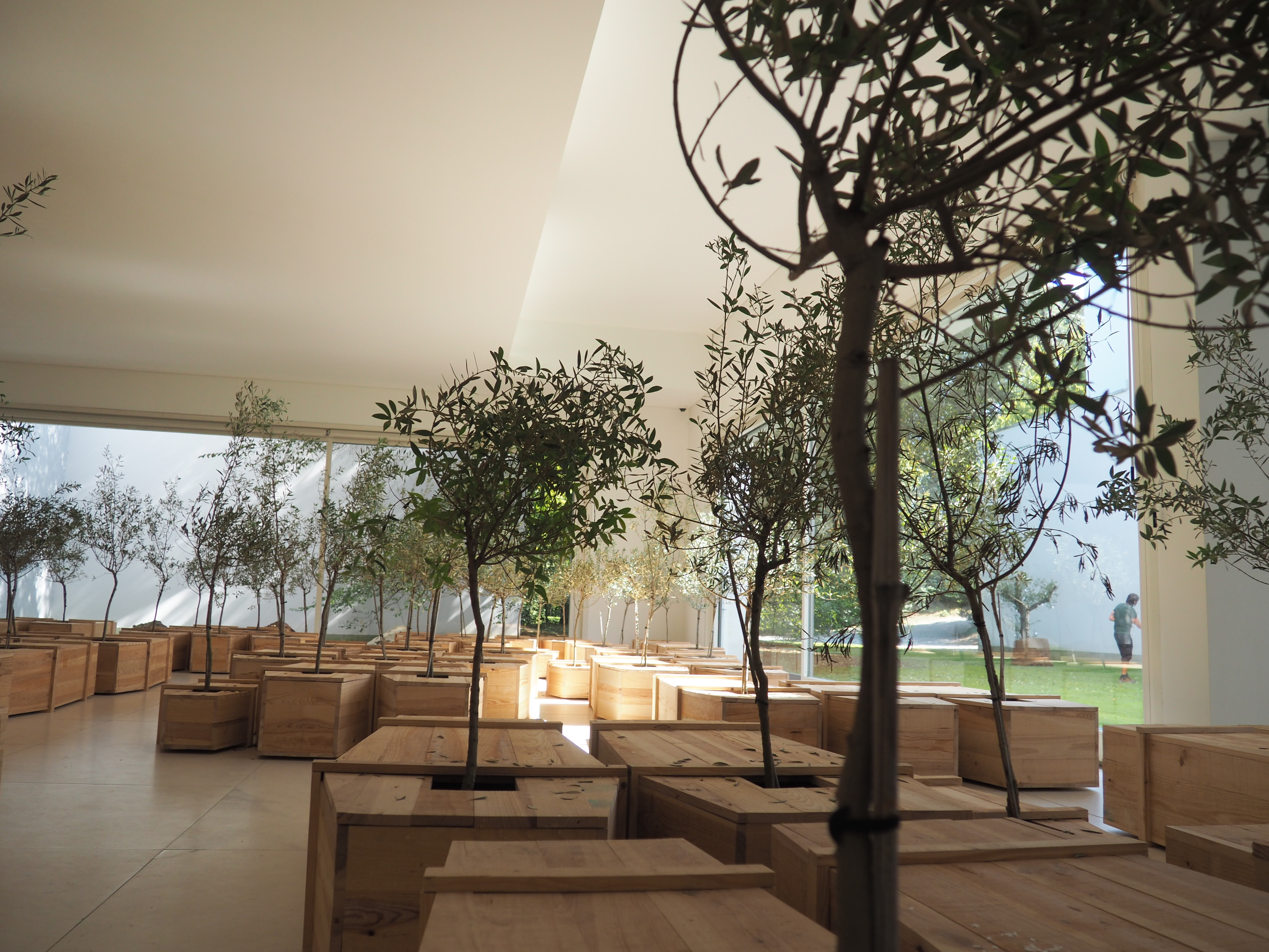 Arma de guerra: violar