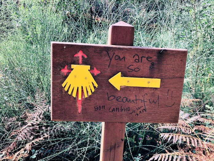 SIN VINO NO HAY CAMINO!